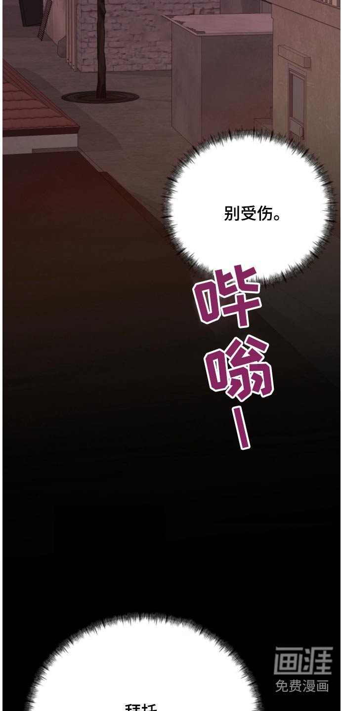 第61章：伪装