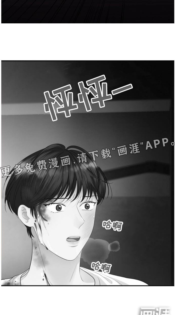 第61章：伪装