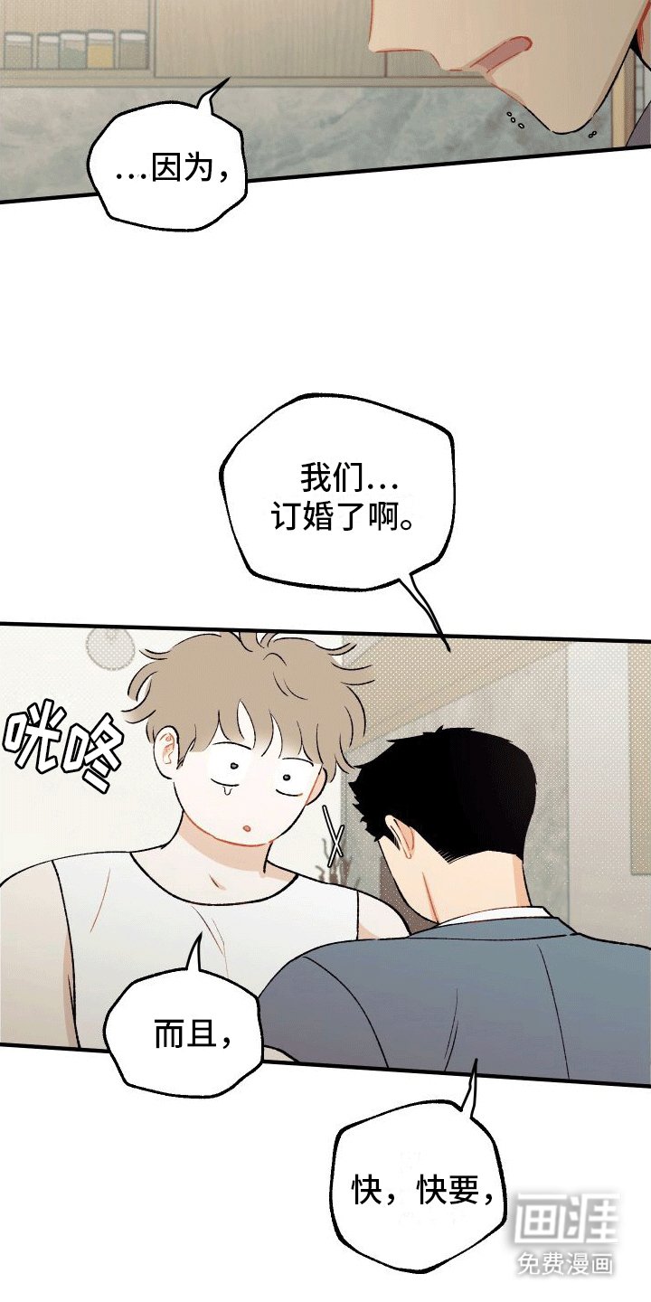 第5章：订婚