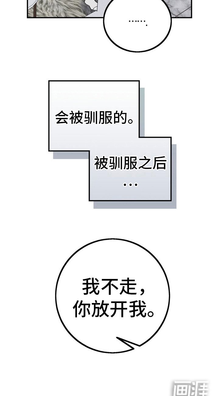 第15章：开玩笑