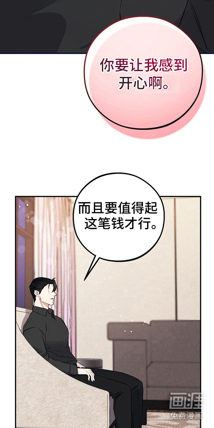 第4章：值得这笔钱