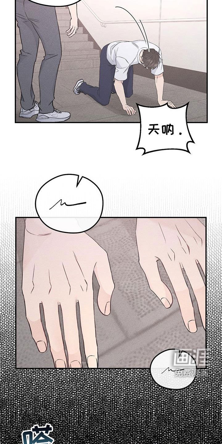第55章：玩具
