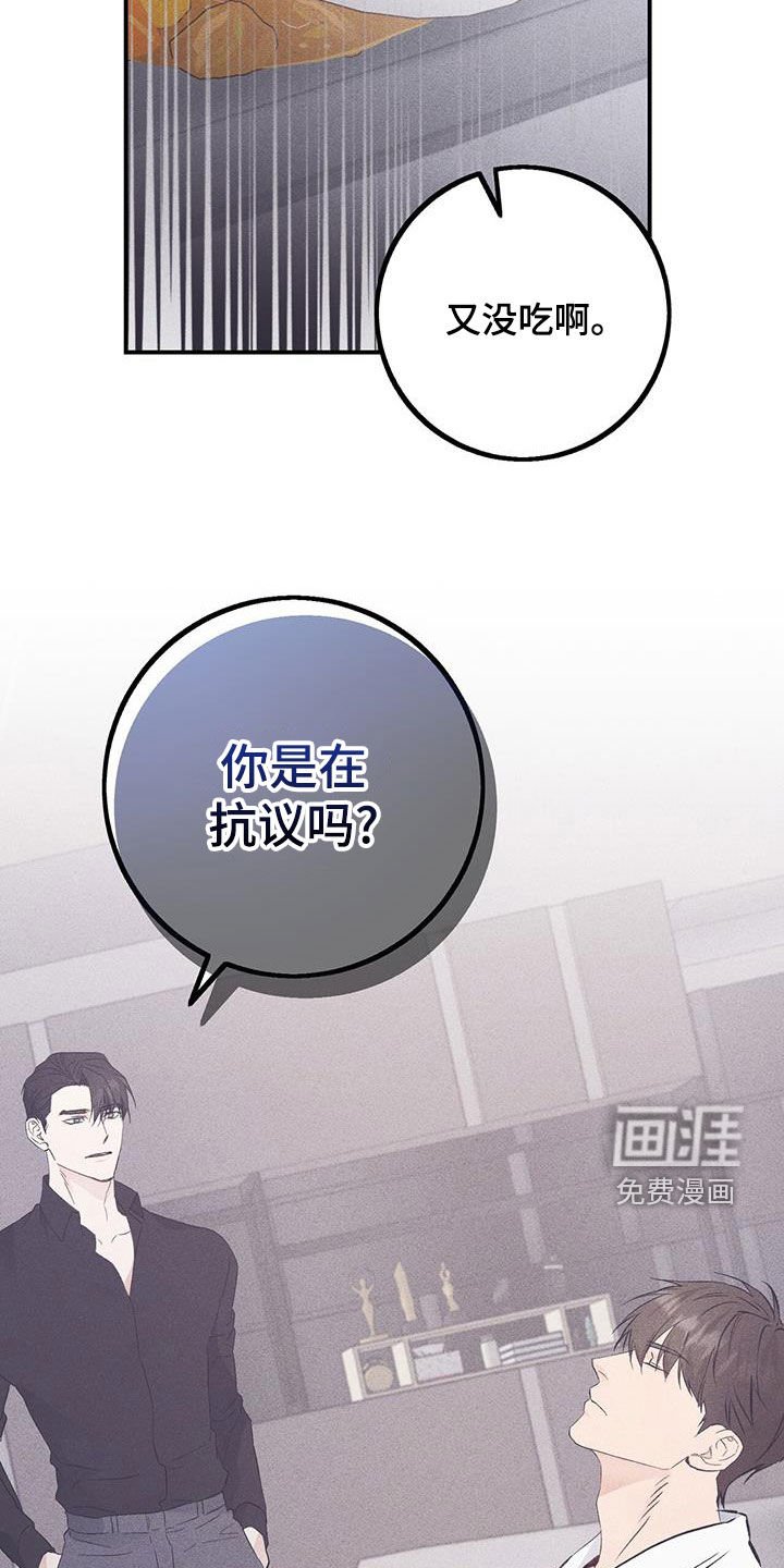第60章：你是在抗议吗