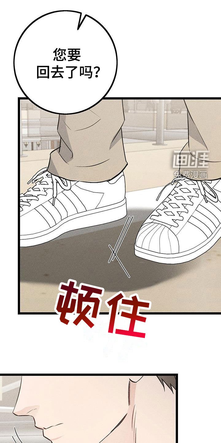 第66章：错觉