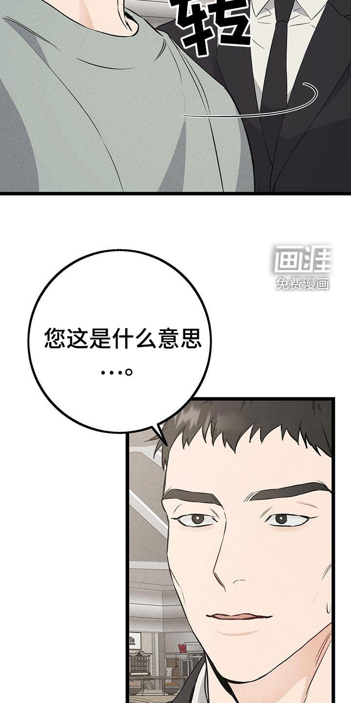 第66章：错觉