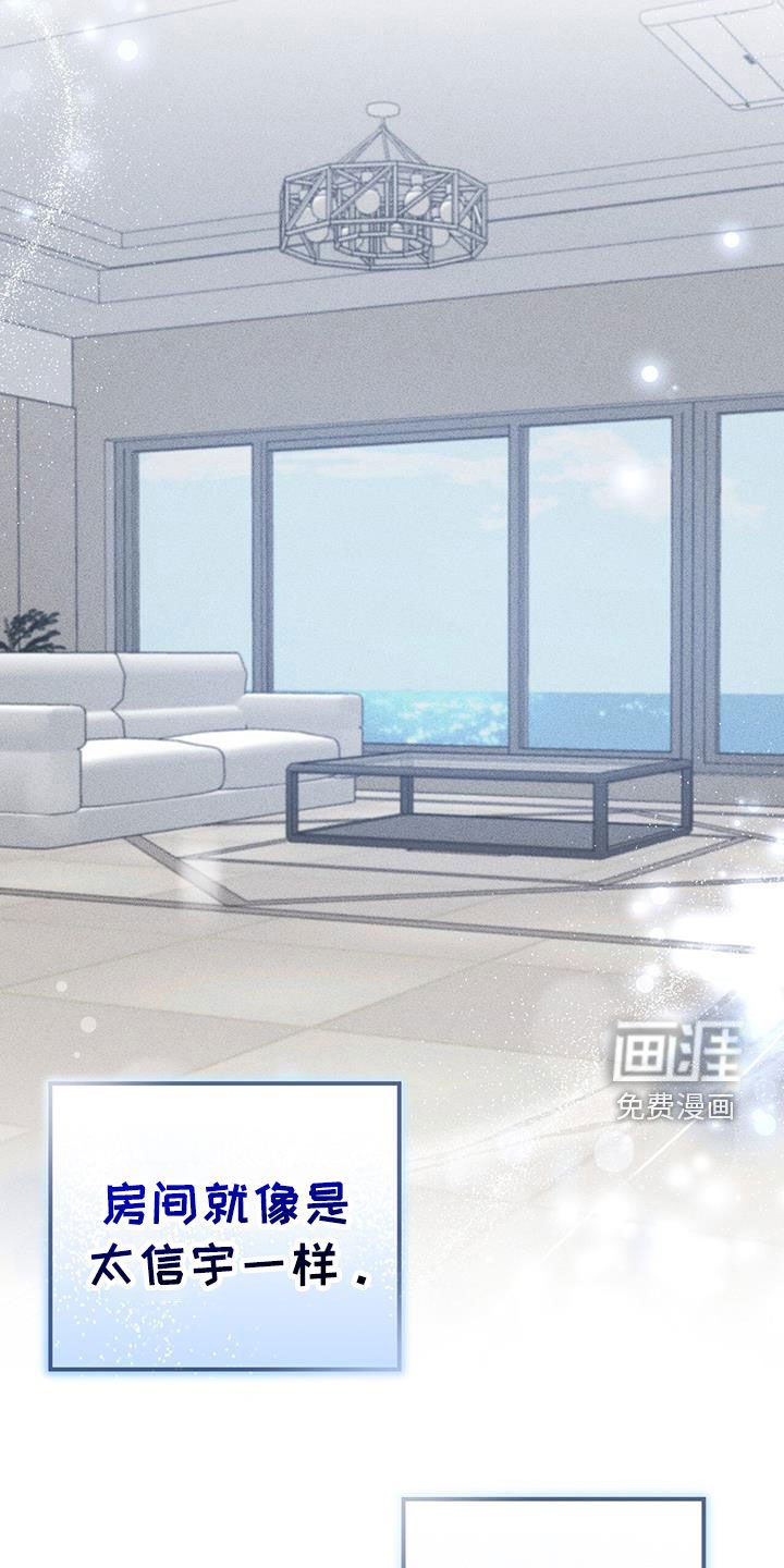 第66章：错觉