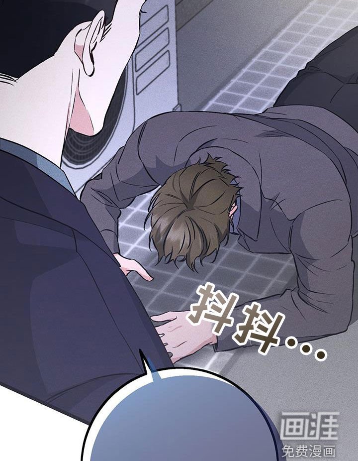 第66章：错觉