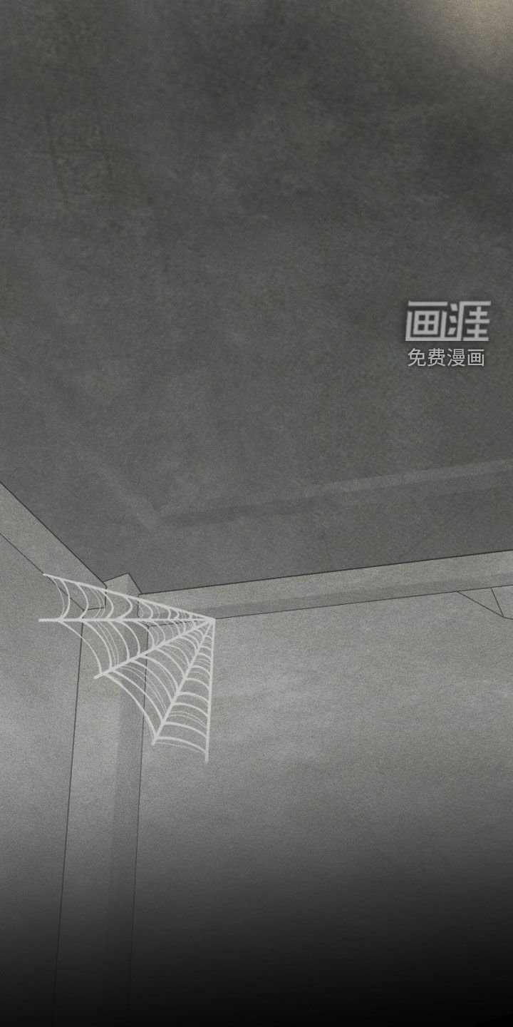 第71章：伪造遗嘱
