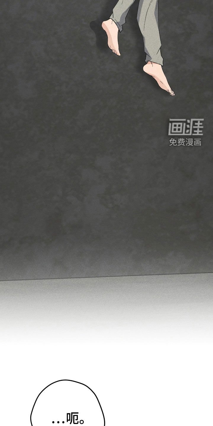 第71章：伪造遗嘱