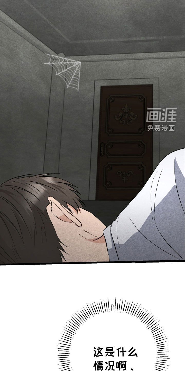 第71章：伪造遗嘱