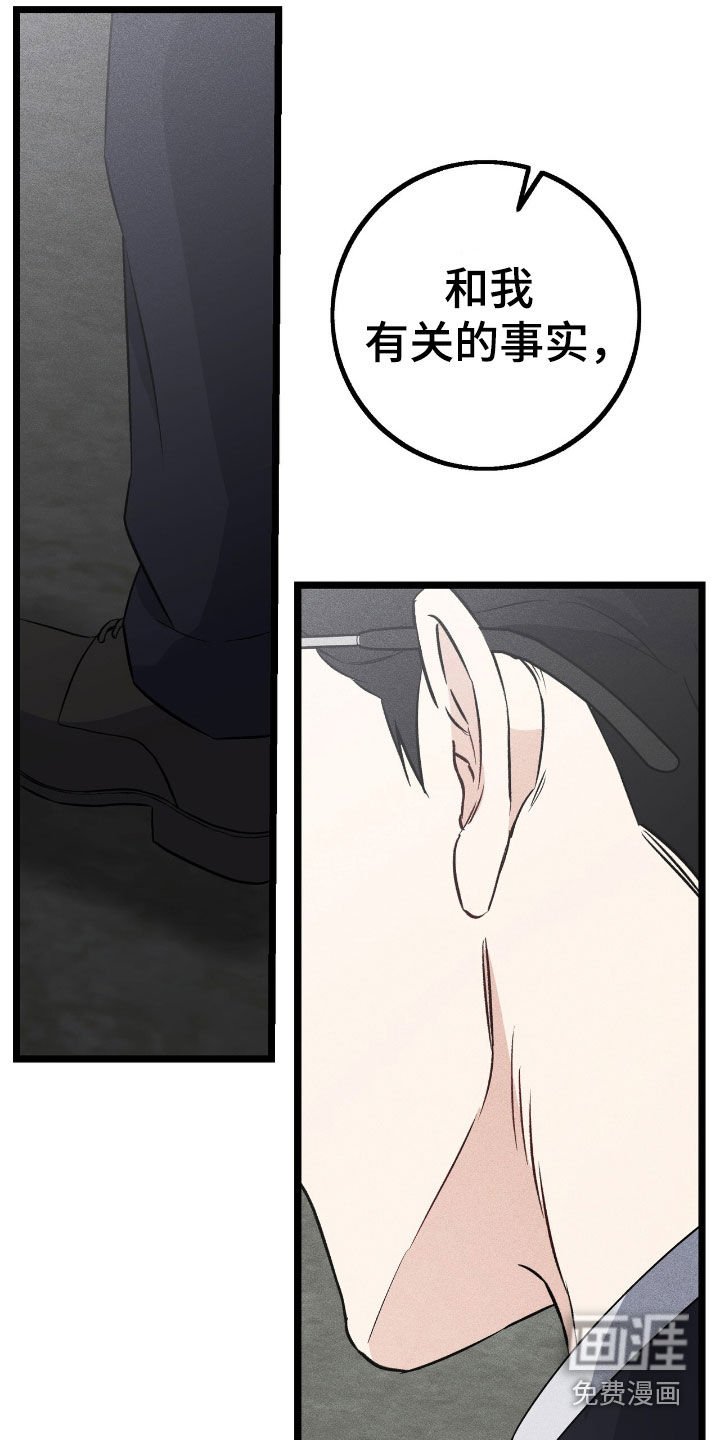 第72章：事实