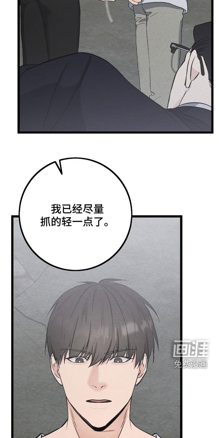 第74章：反扑