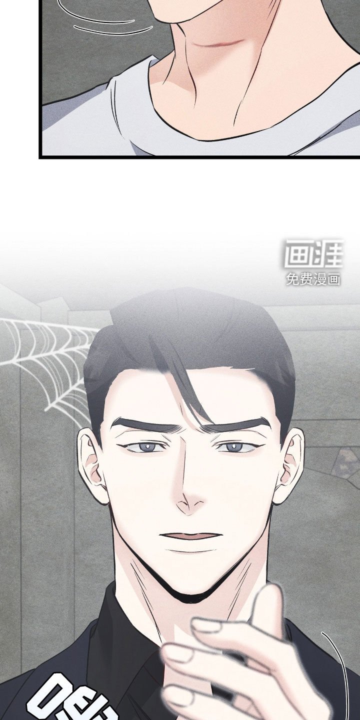 第74章：反扑