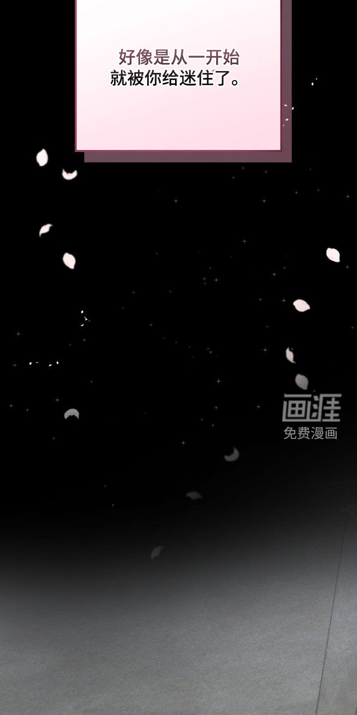 第80章：我爱你