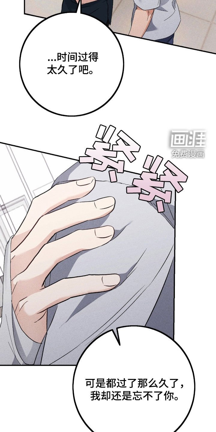 第81章：忘不了你