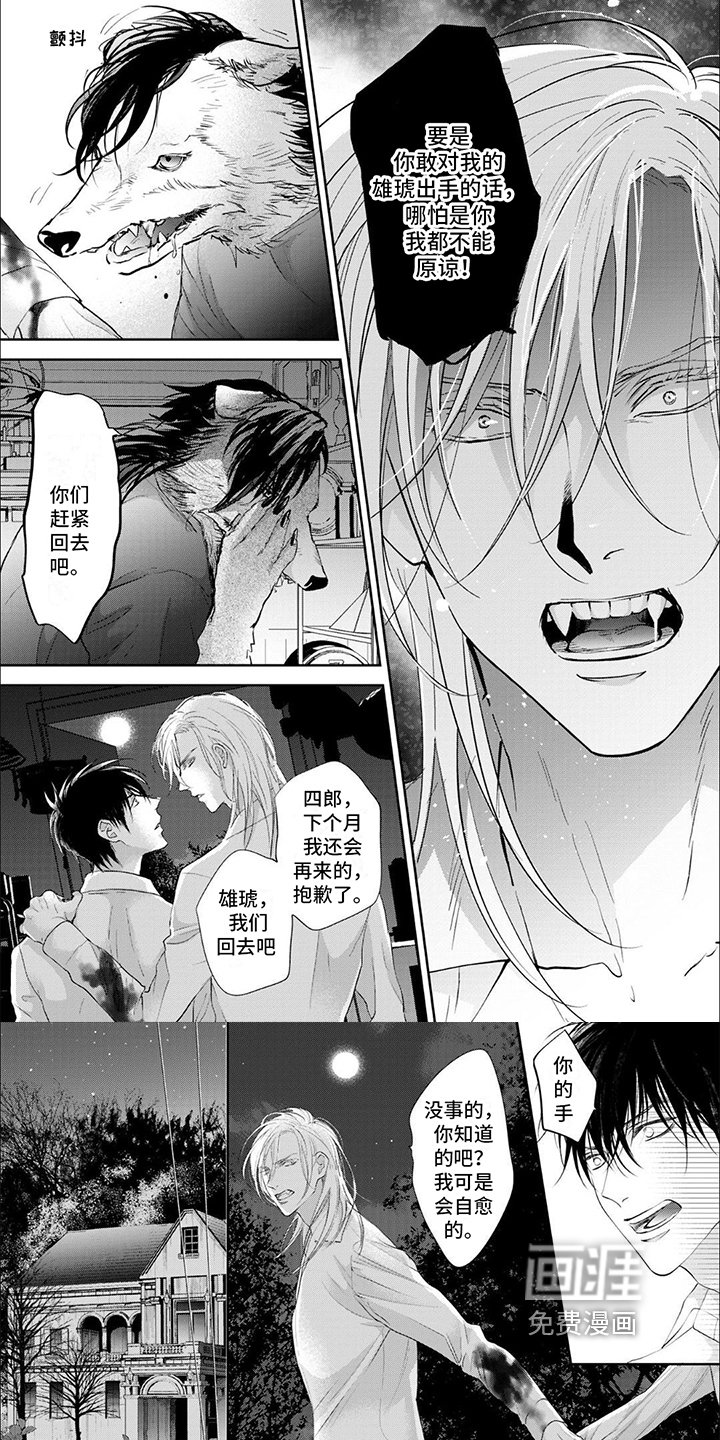 第13章：永恒的伴侣【完结】
