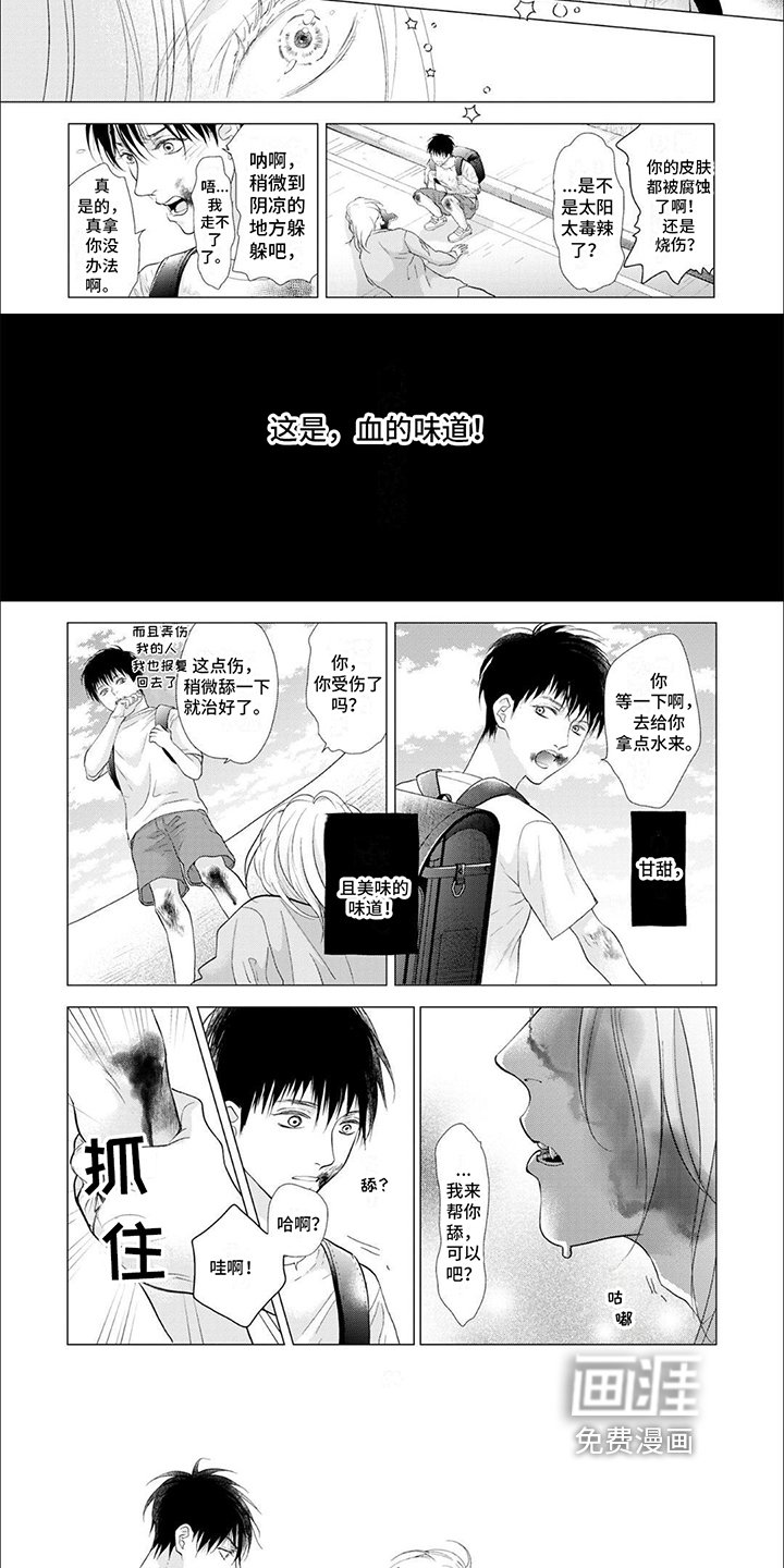 第6章：合适