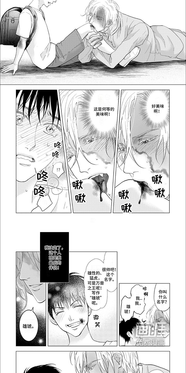 第6章：合适