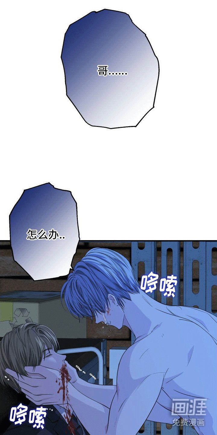 第7章：带走
