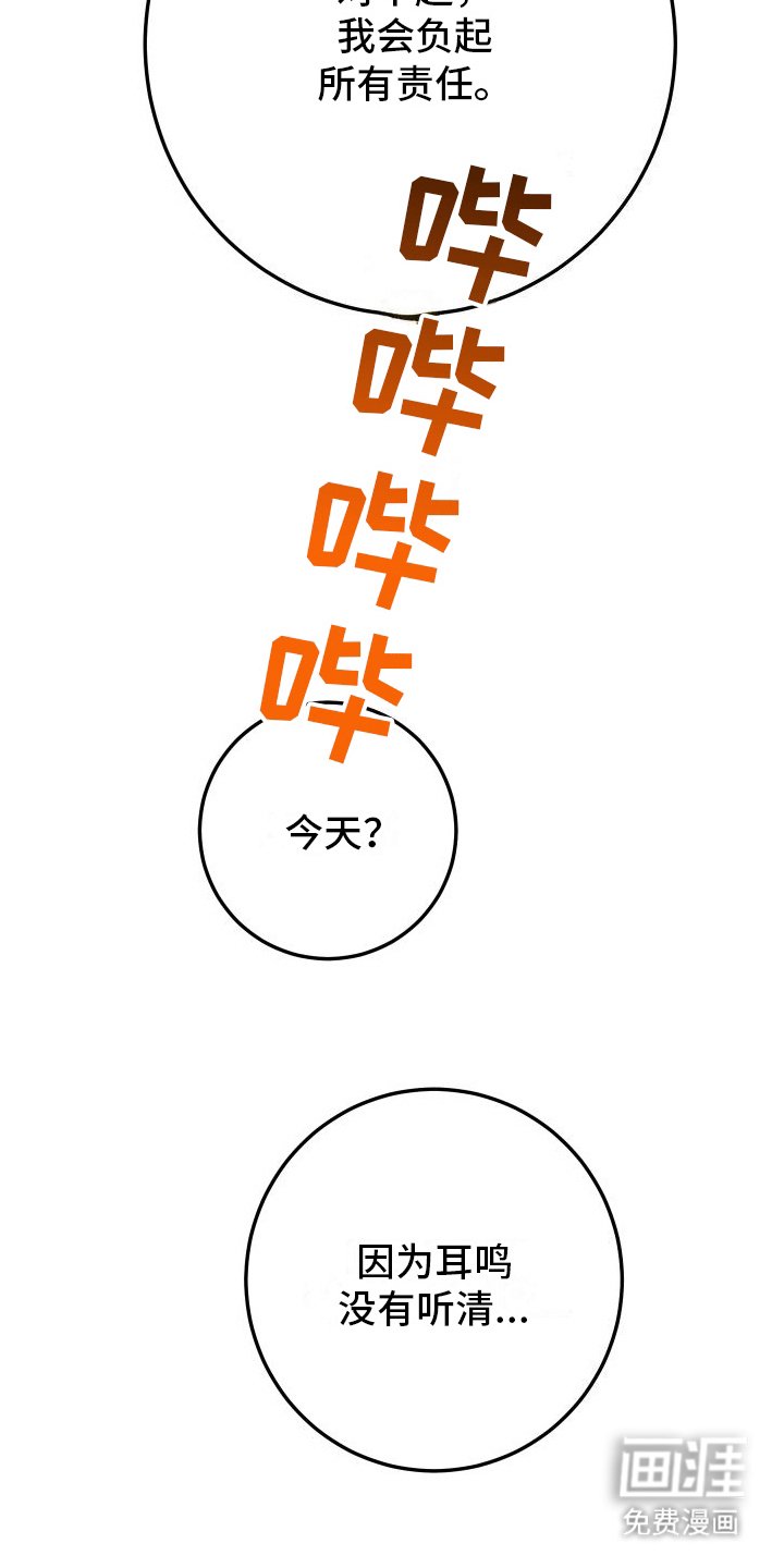 第7章：带走