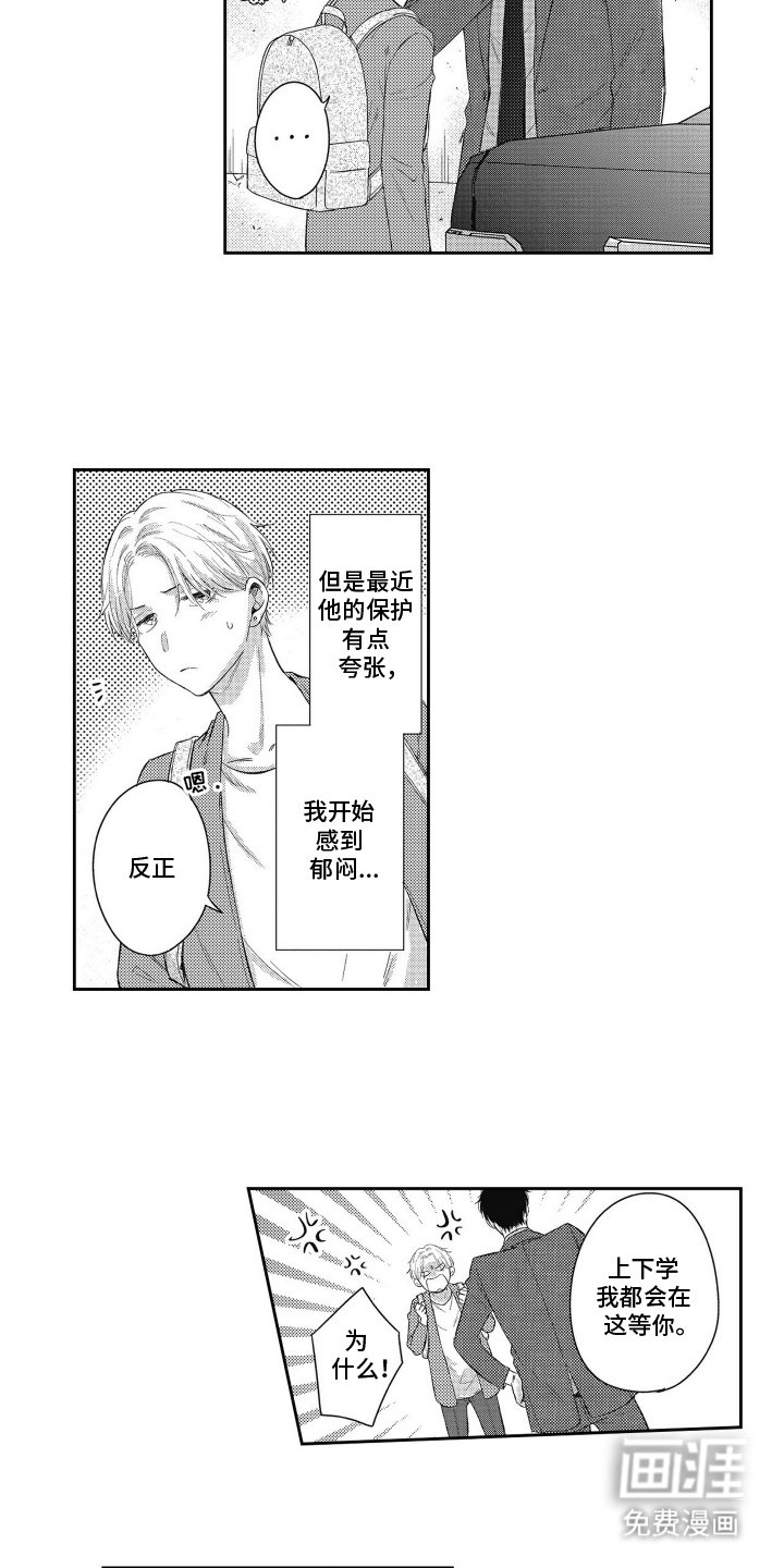 第2章：过度保护