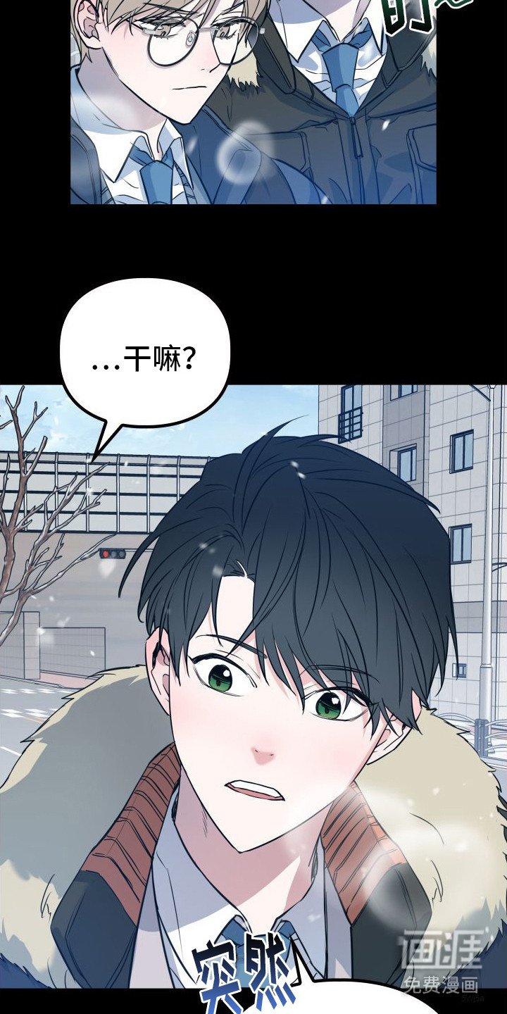 第11章：分化