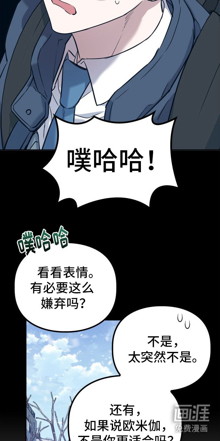 第11章：分化