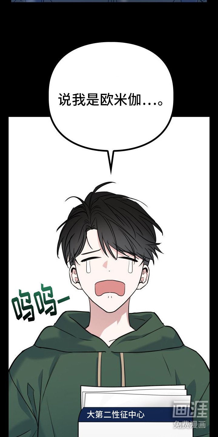 第11章：分化