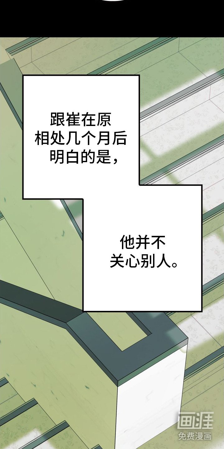 第11章：分化