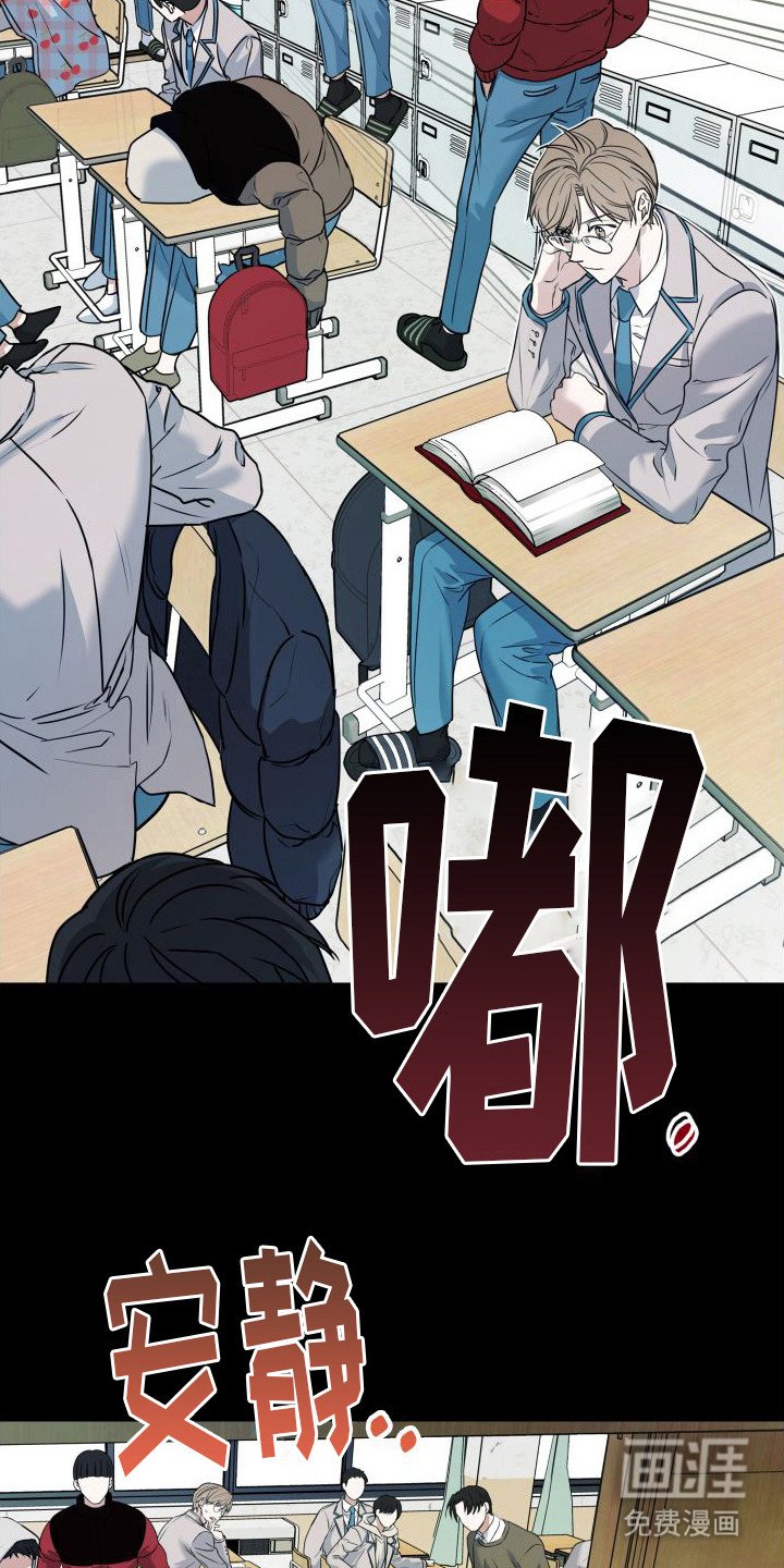 第11章：分化