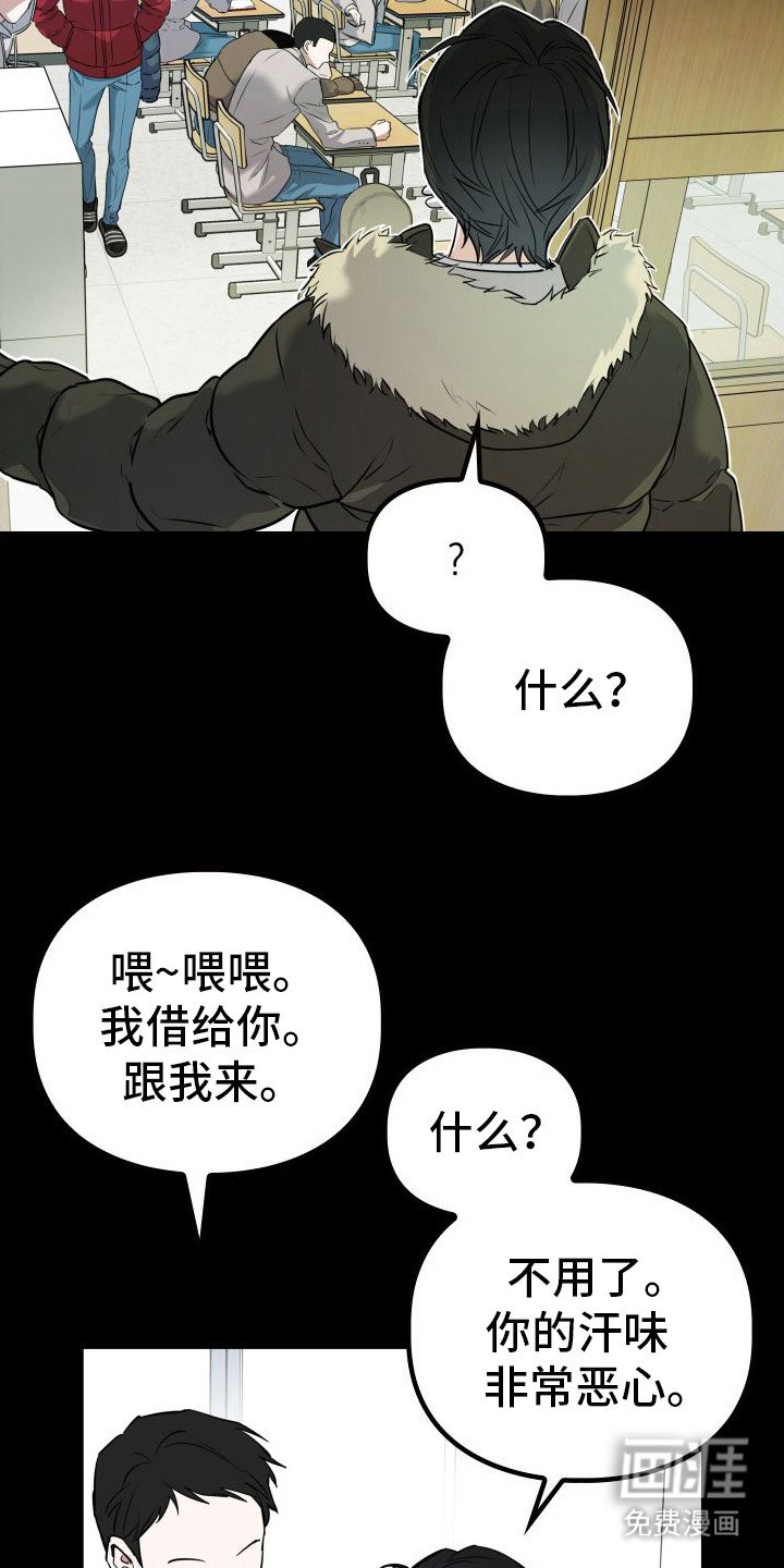 第11章：分化