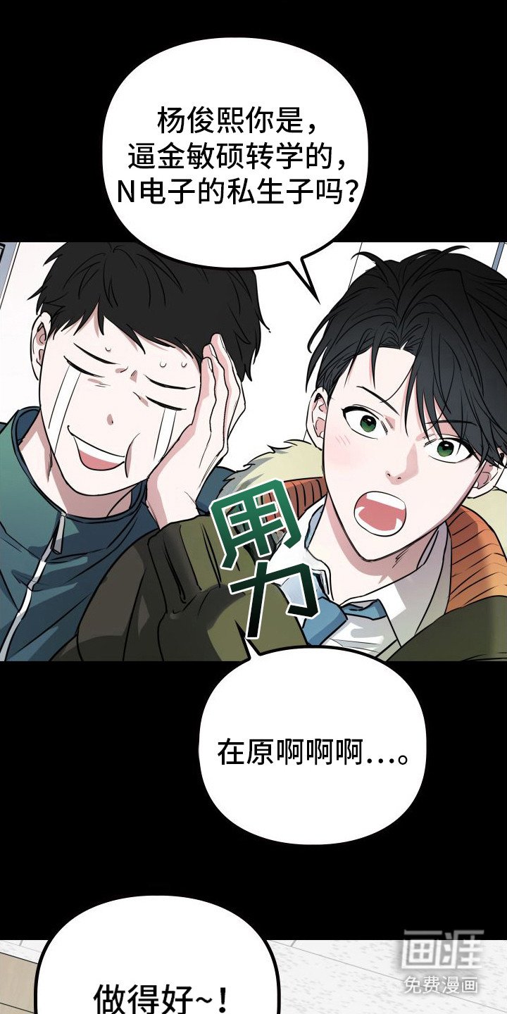第11章：分化
