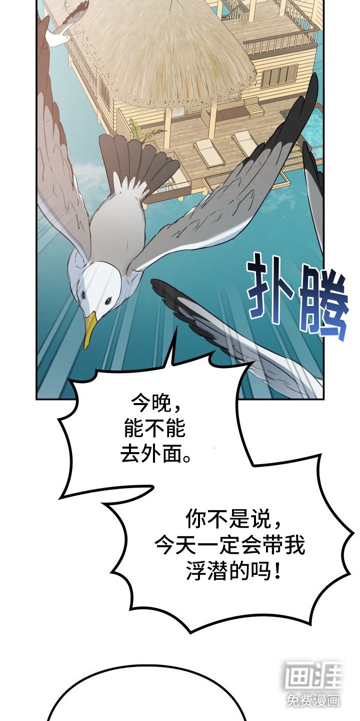 第15章：被迷上（完结）