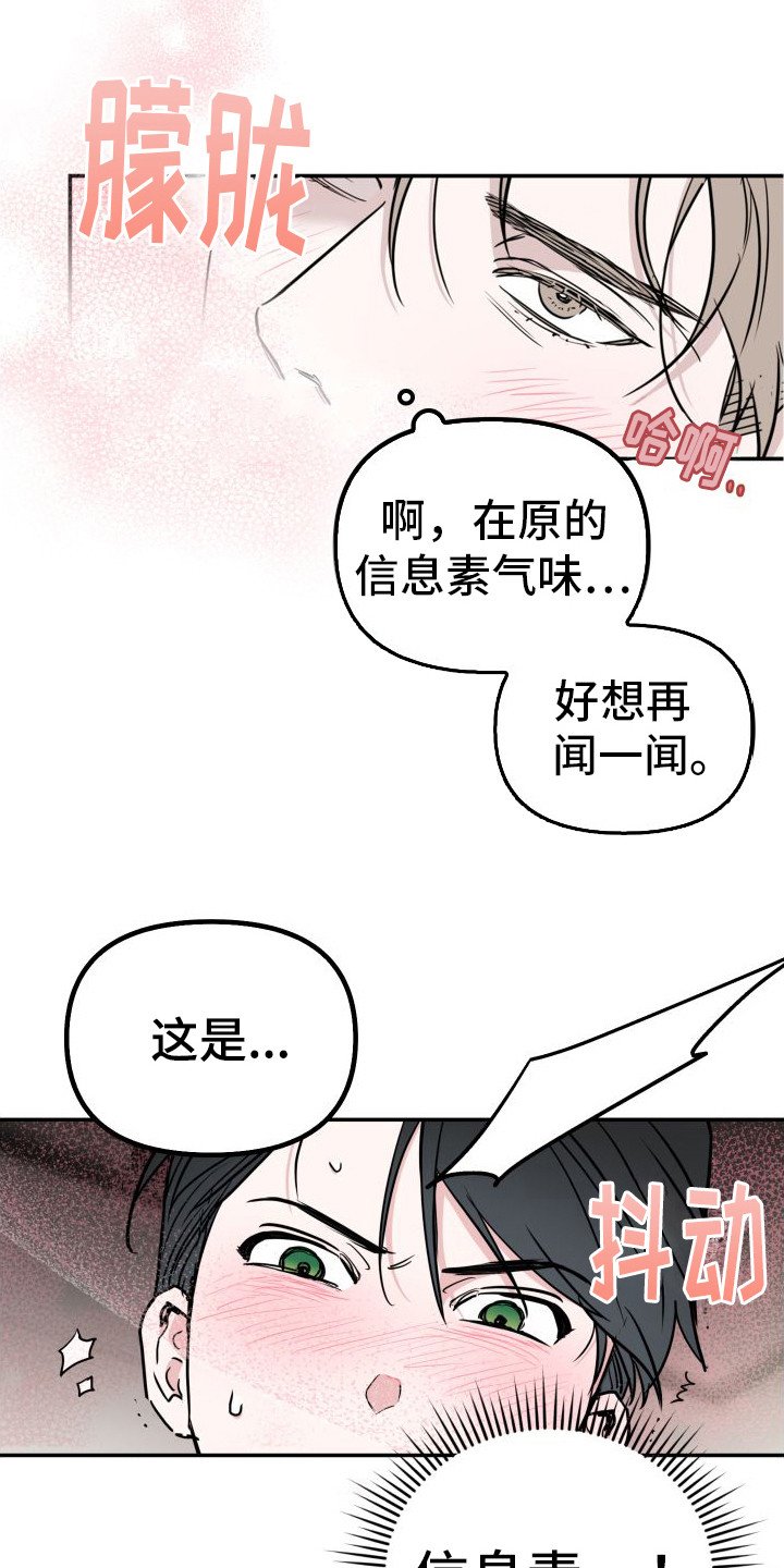 第3章：试试看
