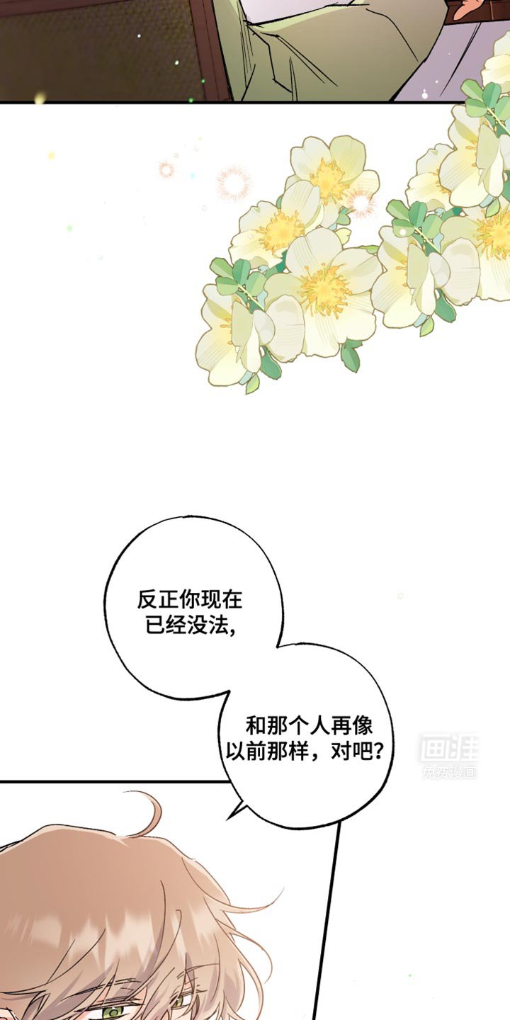 第16章：趁此机会试试吧