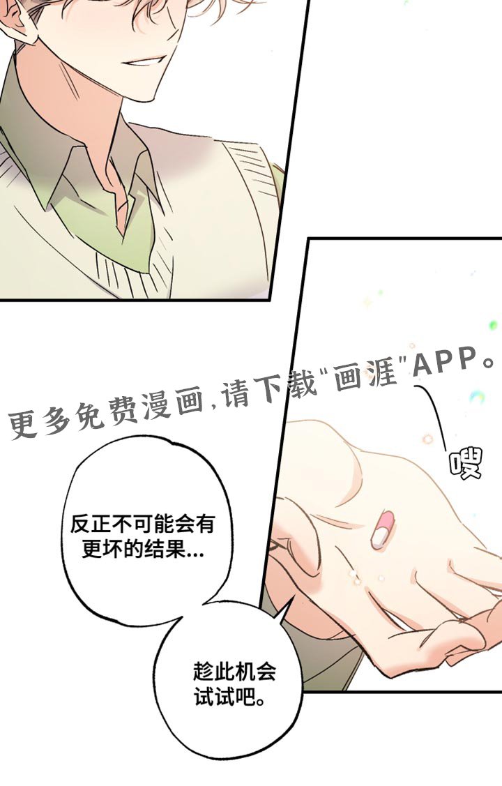 第16章：趁此机会试试吧