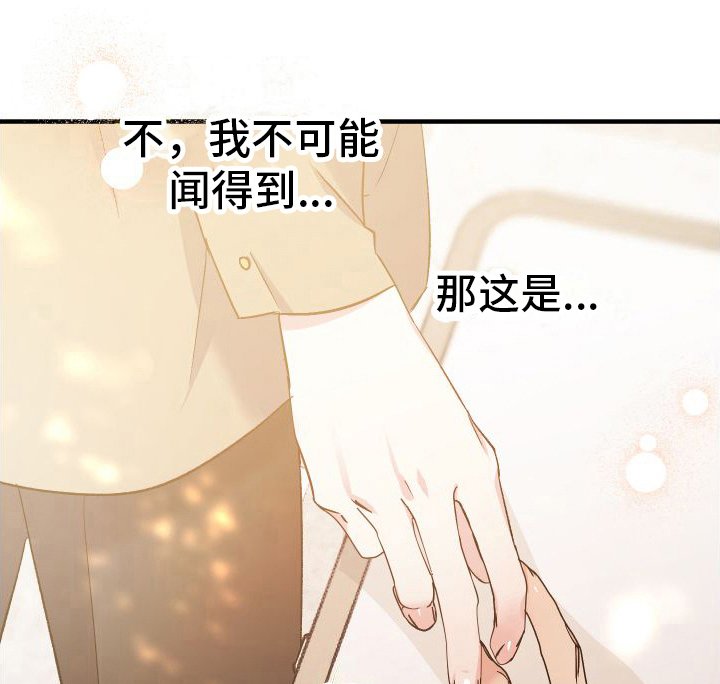 第2章： 温和的微笑