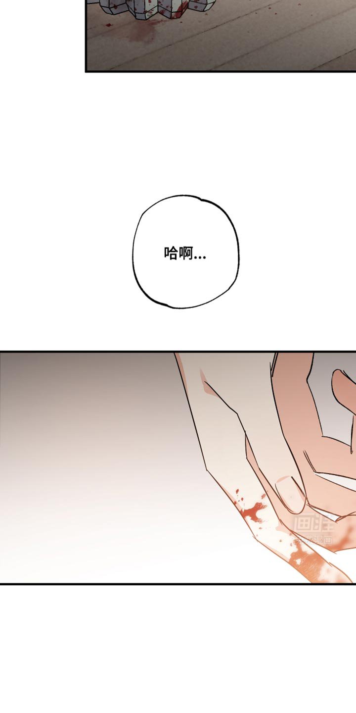 第20章：你寄给他的