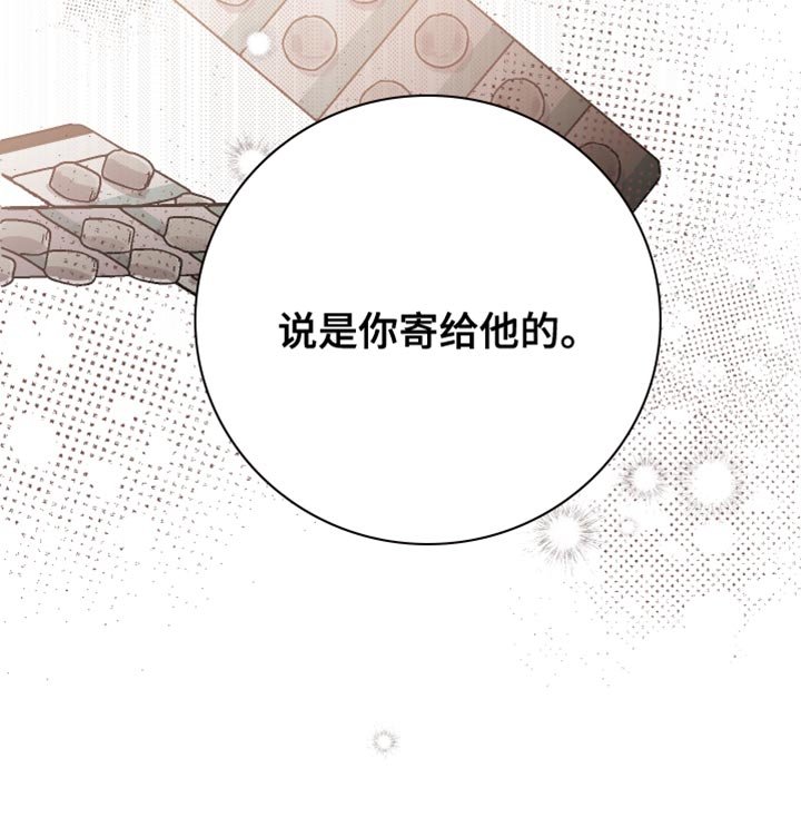 第20章：你寄给他的