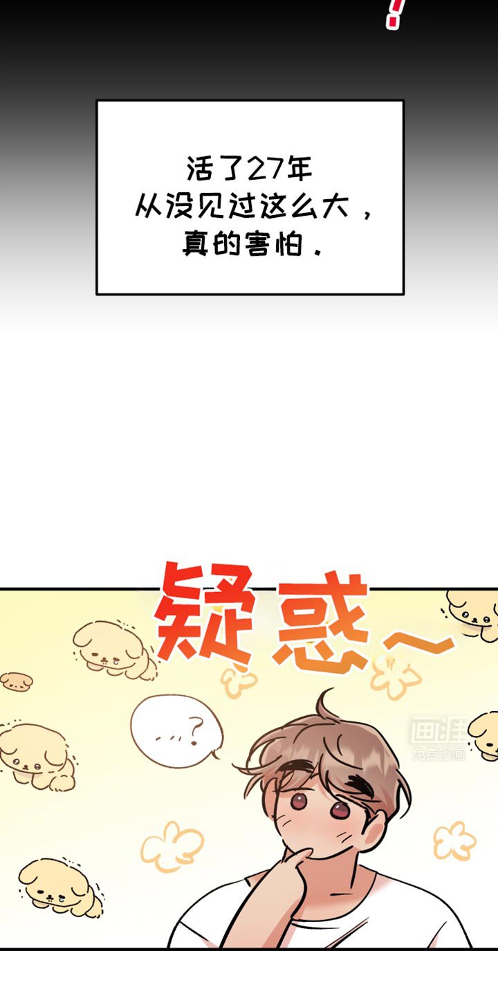 第23章：这不是梦