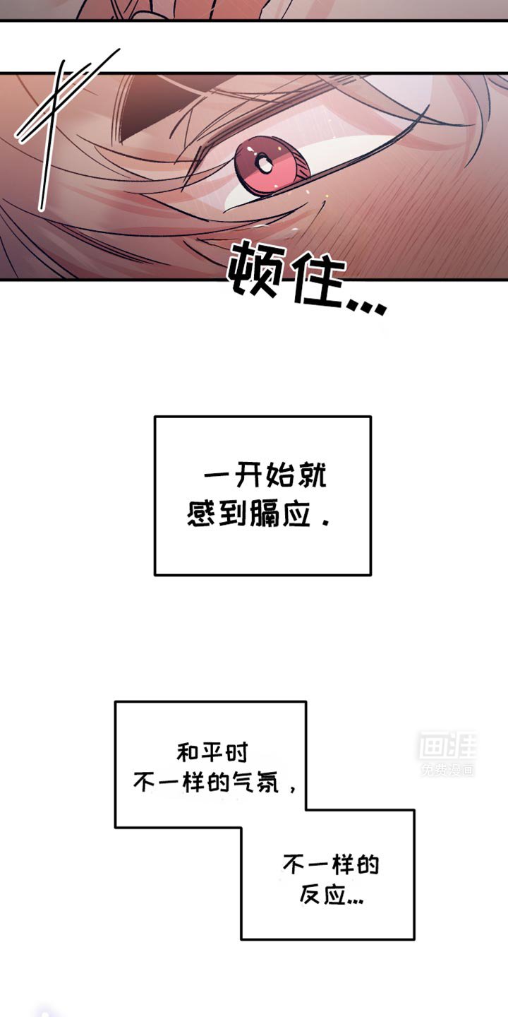 第23章：这不是梦