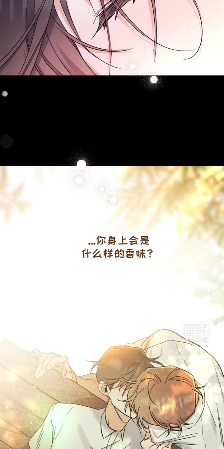 第24章：会是什么样的香味