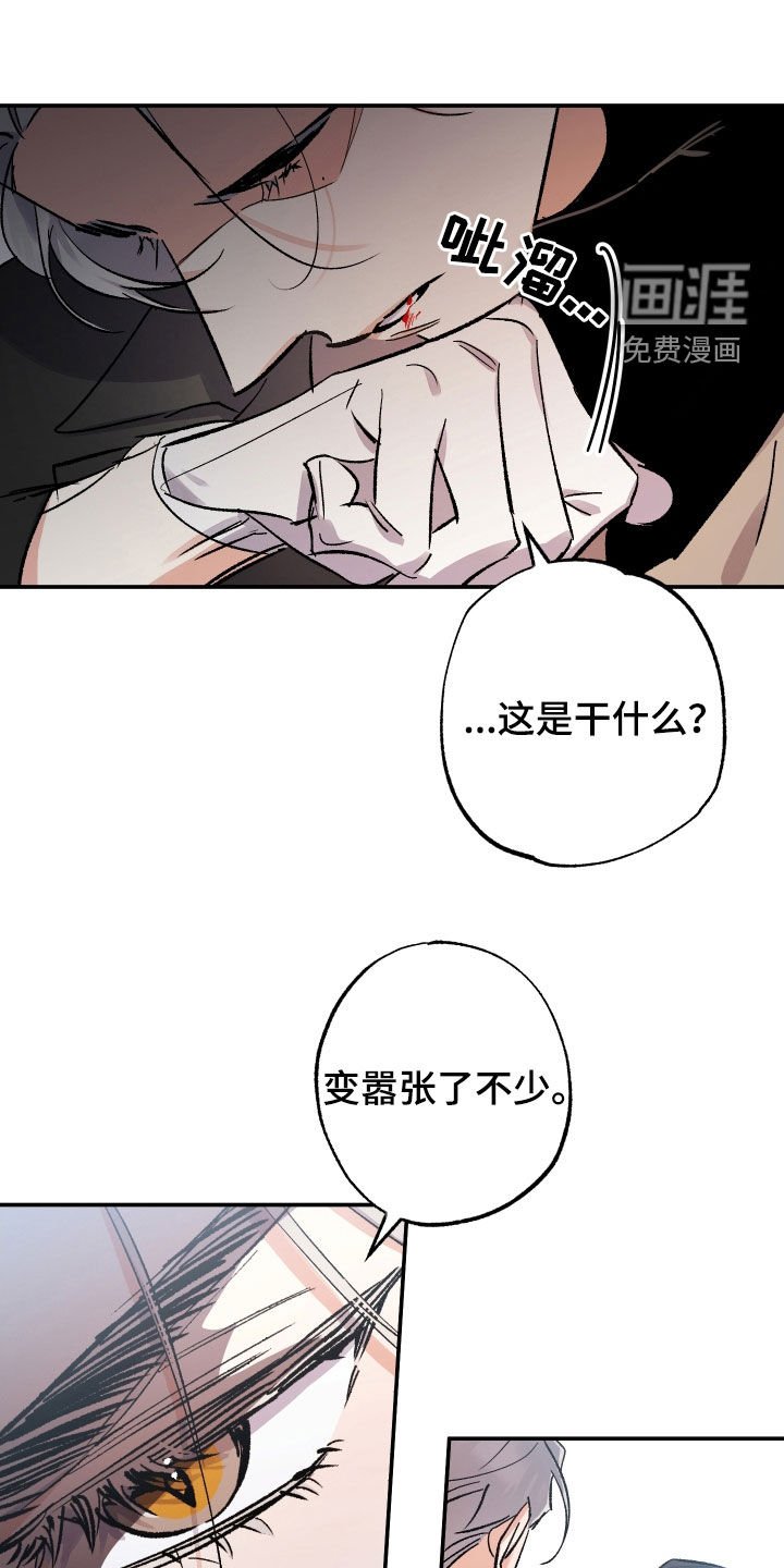 第33章：本能反应