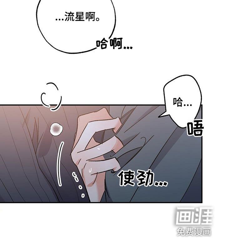 第37章：贪婪