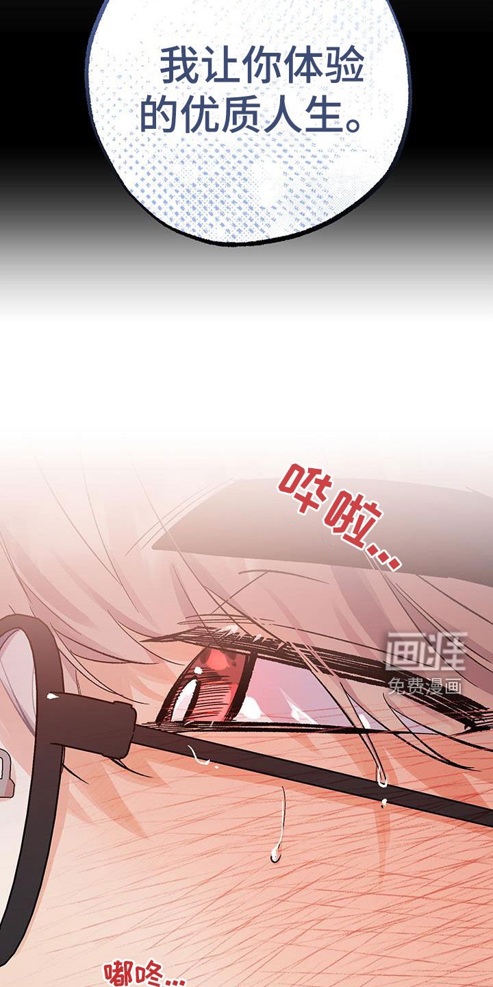 第38章：优质人生