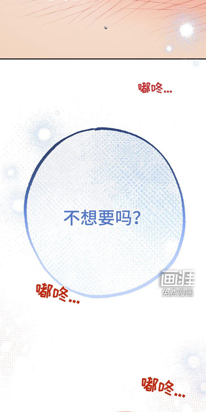 第38章：优质人生