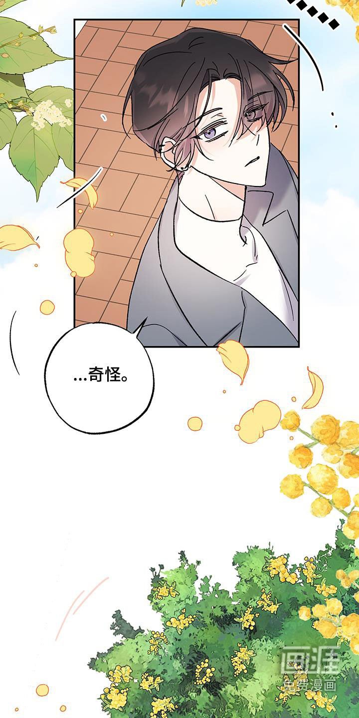 第45章：永远不会变