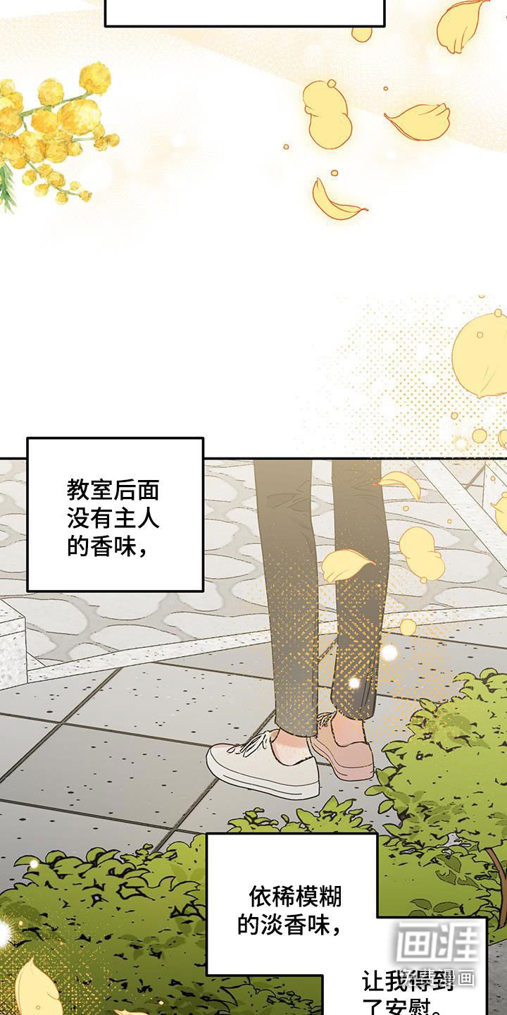 第45章：永远不会变