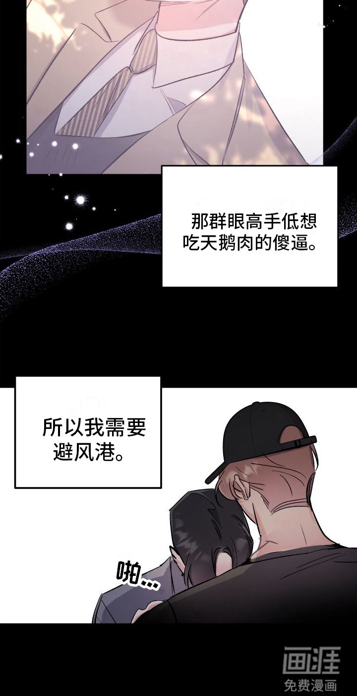第5章：避风港