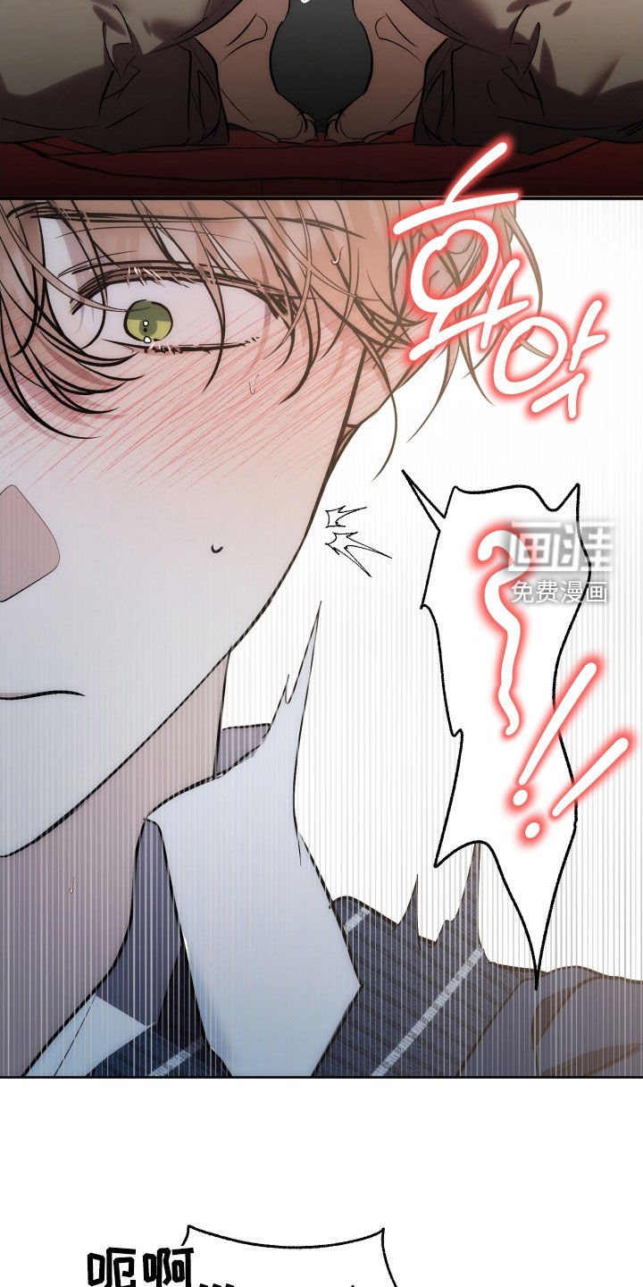 第65章：【第二季】愿望